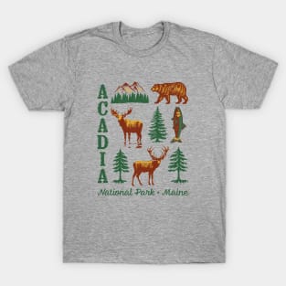 Acadia National Park NP Maine ME USA Vintage Design Souvenir T-Shirt